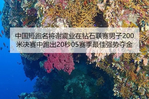 zhong-guo-duan-pao-ming-jiang-xie-zhen-ye-zai-zuan-shi-lian-sai-nan-zi-mi-jue-sai-zhong-pao-chu-miao-sai-ji-zui-jia-2-973.jpg