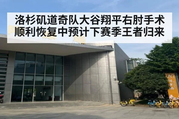洛杉矶道奇队大谷翔平右肘手术顺利恢复中预计下赛季王者归来
